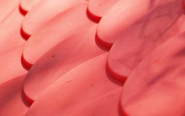 Colchester Green plastic roof costs