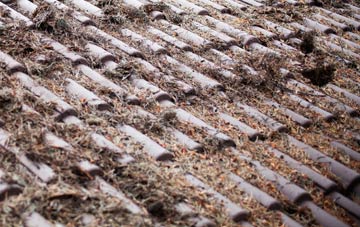 Colchester Green roof cleaning companies